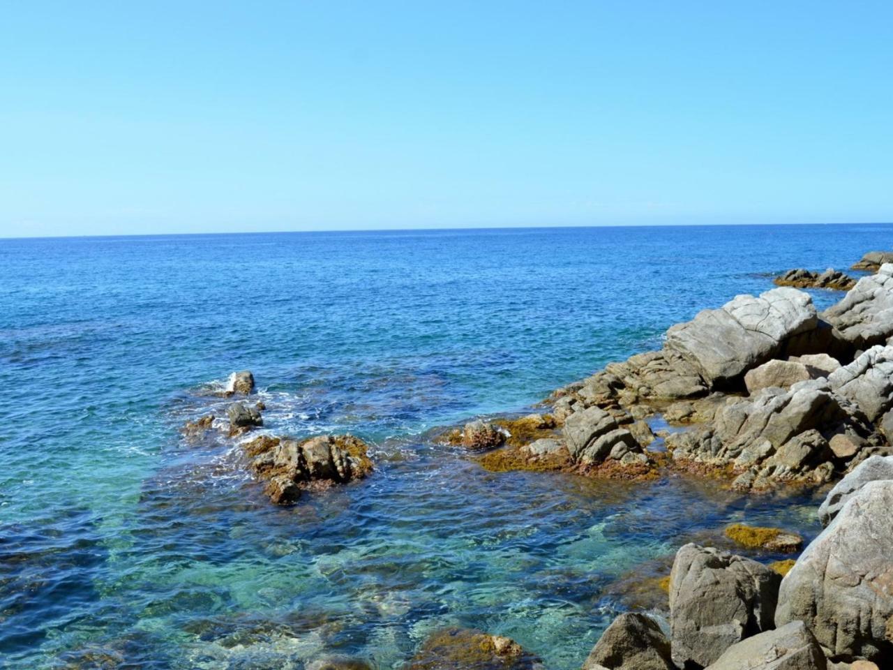 Studios Face A La Mer - Cala Llevado Tossa de Mar Dış mekan fotoğraf