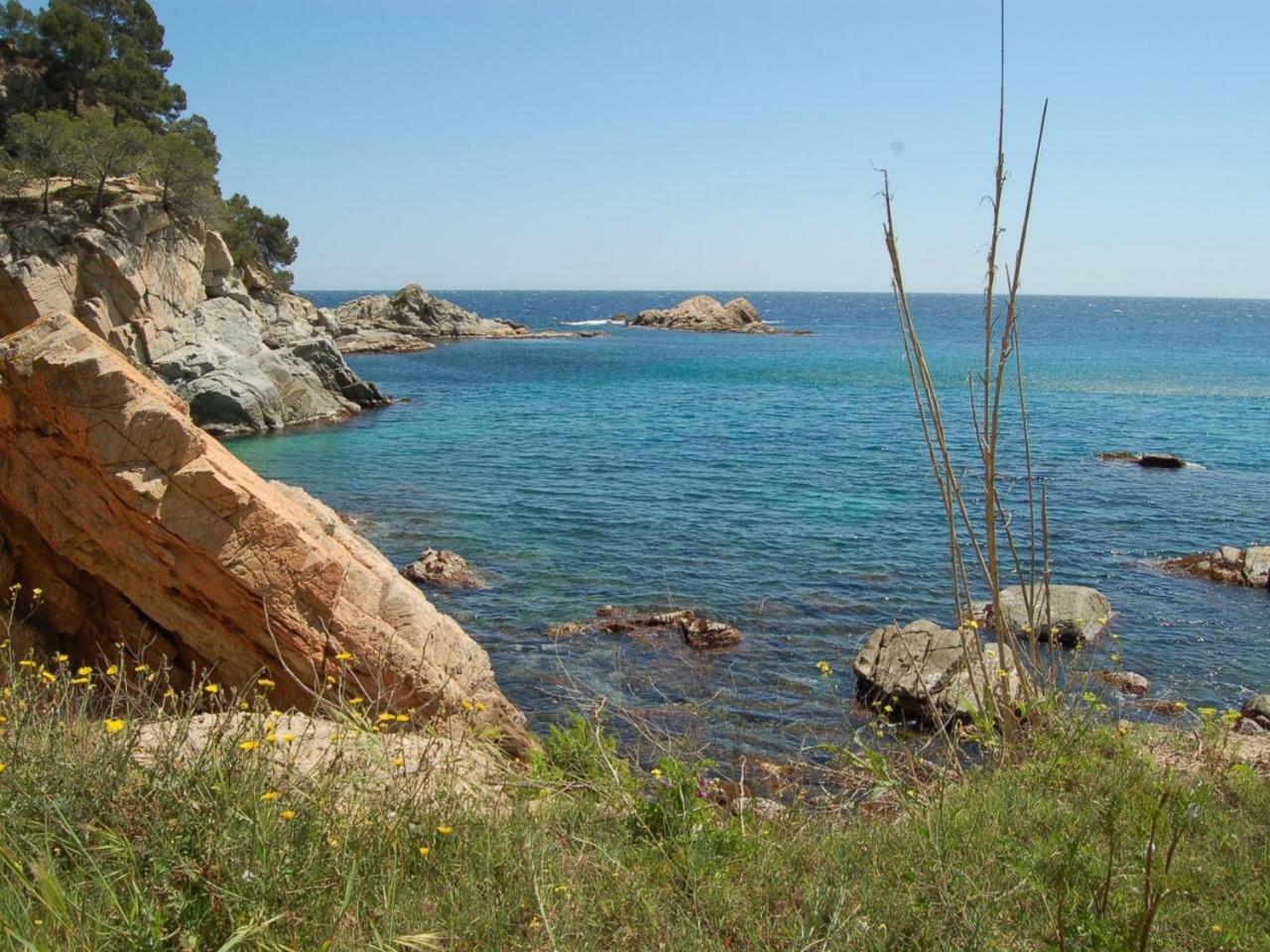 Studios Face A La Mer - Cala Llevado Tossa de Mar Dış mekan fotoğraf