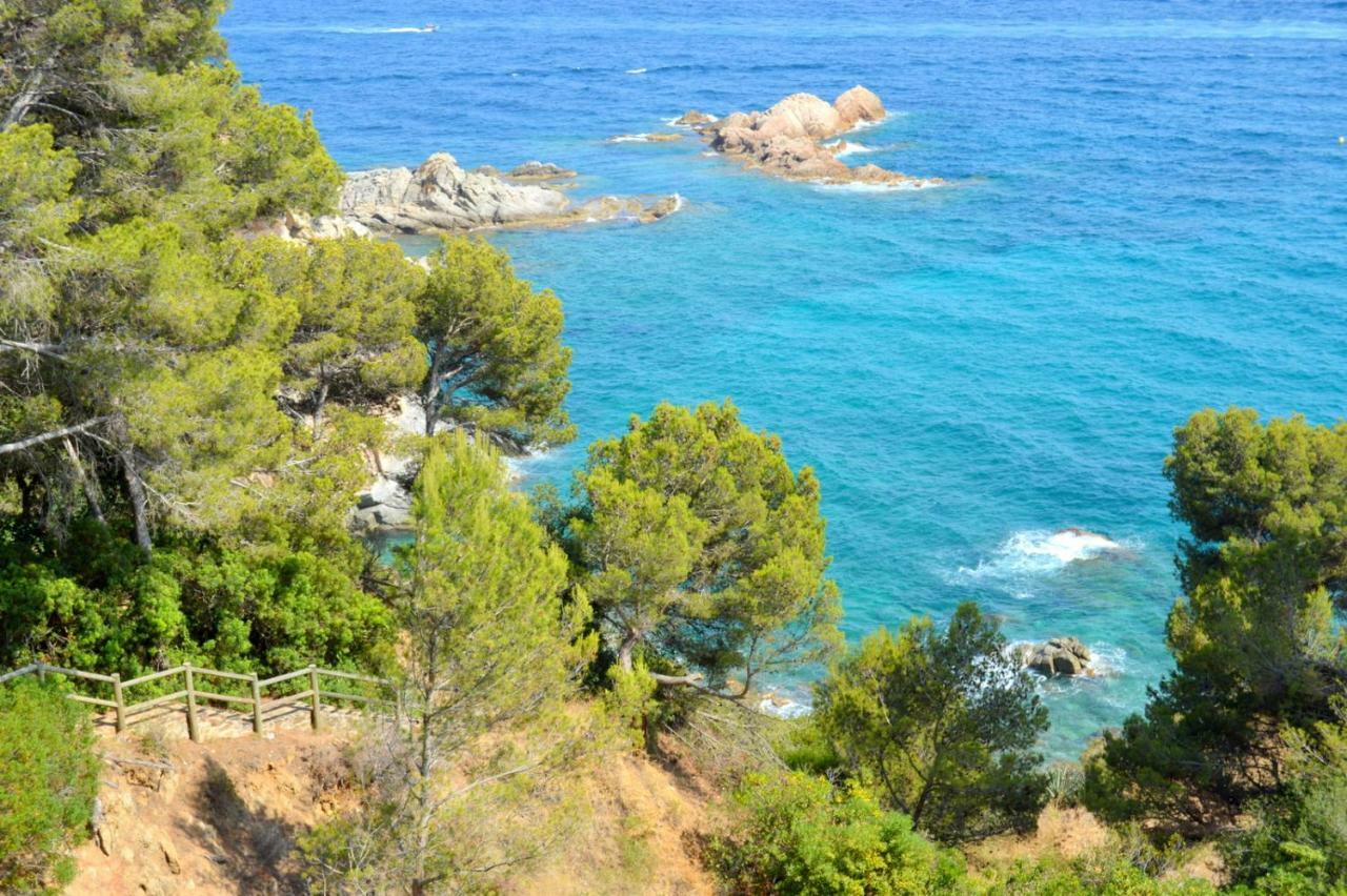 Studios Face A La Mer - Cala Llevado Tossa de Mar Dış mekan fotoğraf